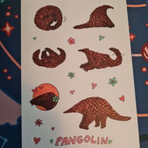 Pangolin Stickers